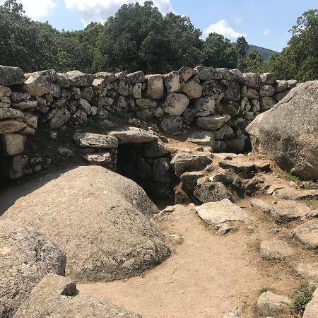 Appartamento Maison Purrussoni Levie Esterno foto